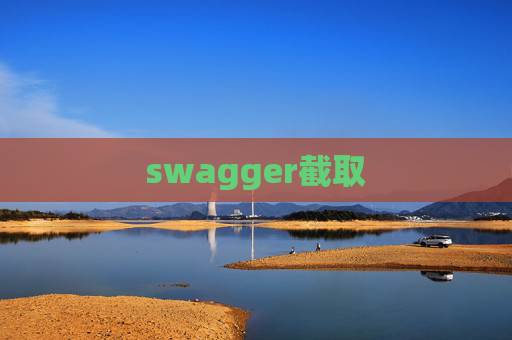 swagger截取